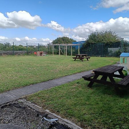 Y Doc At World Horizons Community Hub Llanelli Exterior foto